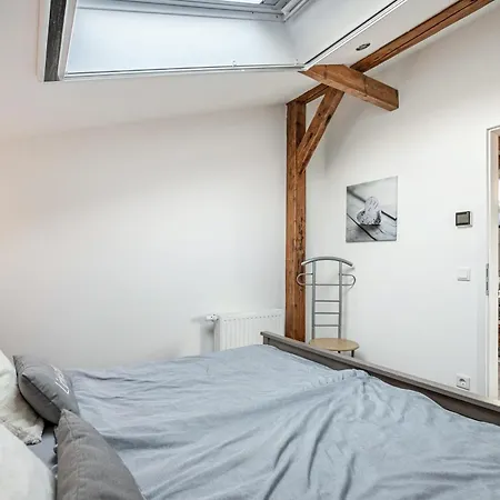 Doris Apartmán Viol